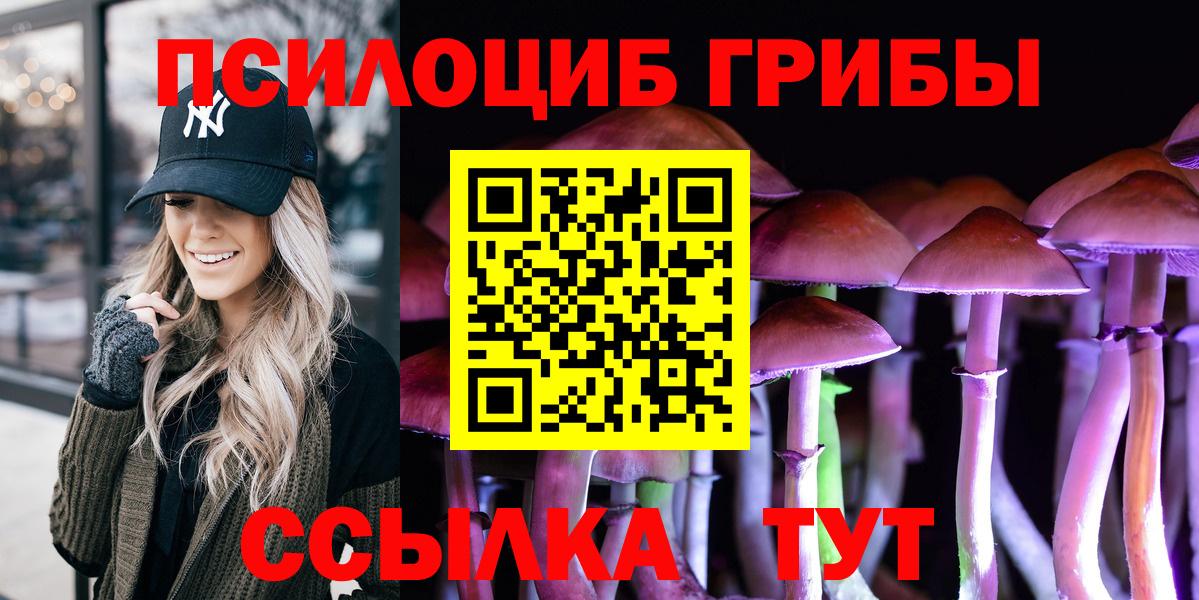 Галлюциногенные грибы Psilocybe  Вход с VPN  Ликино-Дулёво 